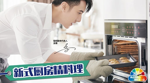 ��ʽ����������