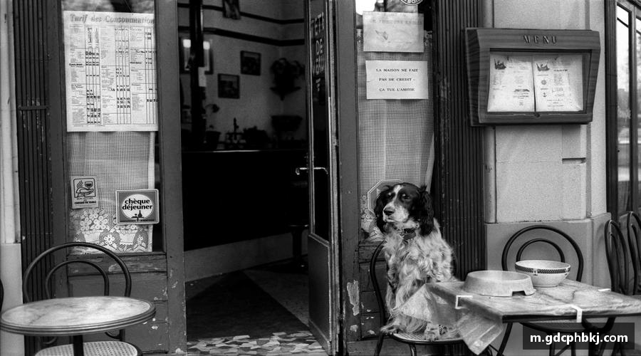 永利皇宫网址团结拼搏，驰骋竞技！